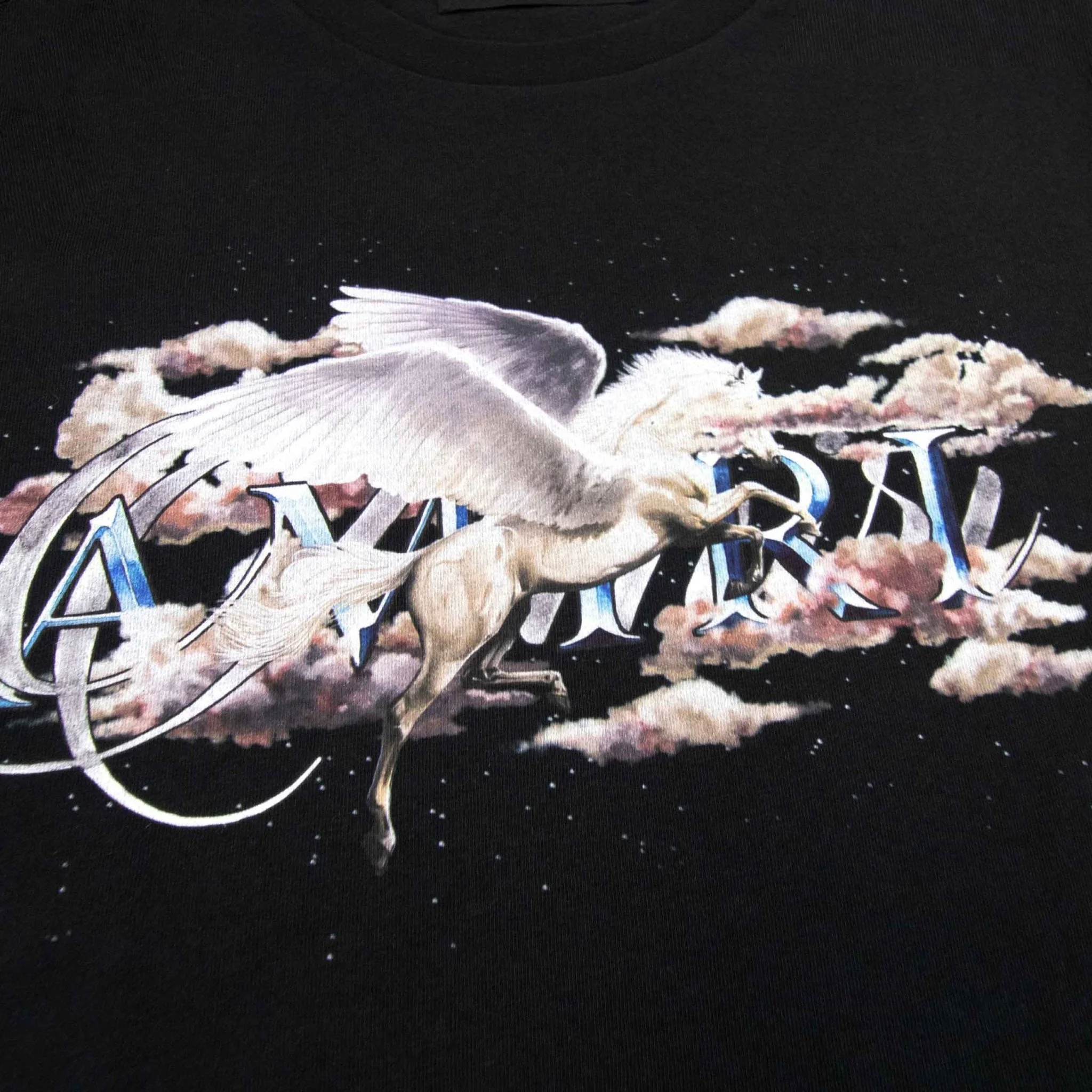 [Amiri] Pegasus Script Logo T-Shirt in Black - Image 3